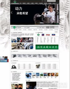長沙節點網絡 以低價比打造高品質網站建設與推廣服務