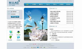 一站式解決方案 產品大全的網站建設與推廣服務指南